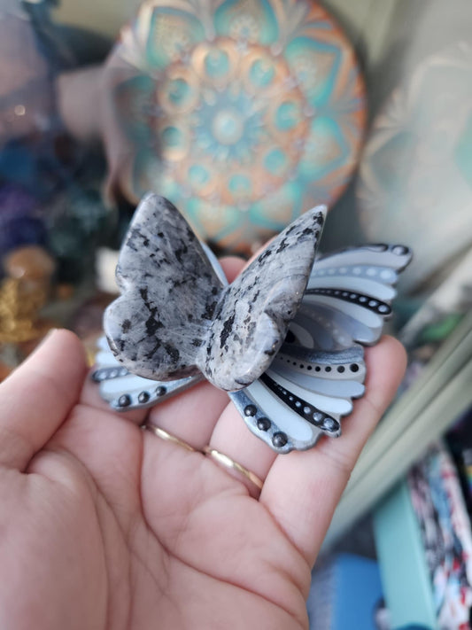 Papillon avec cristaux de Larvikite