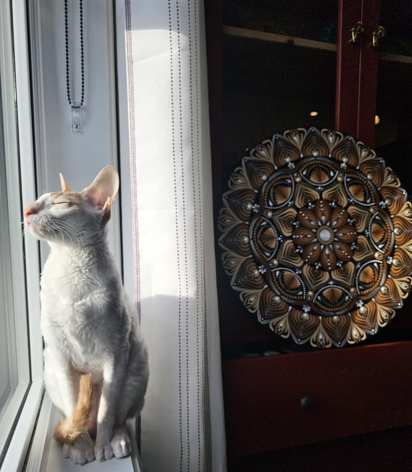 Phobos 19 inches on canvas